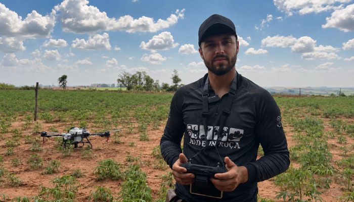 Plano Safra impulsiona produção de mandioca e sucessão familiar no Noroeste do Paraná 
